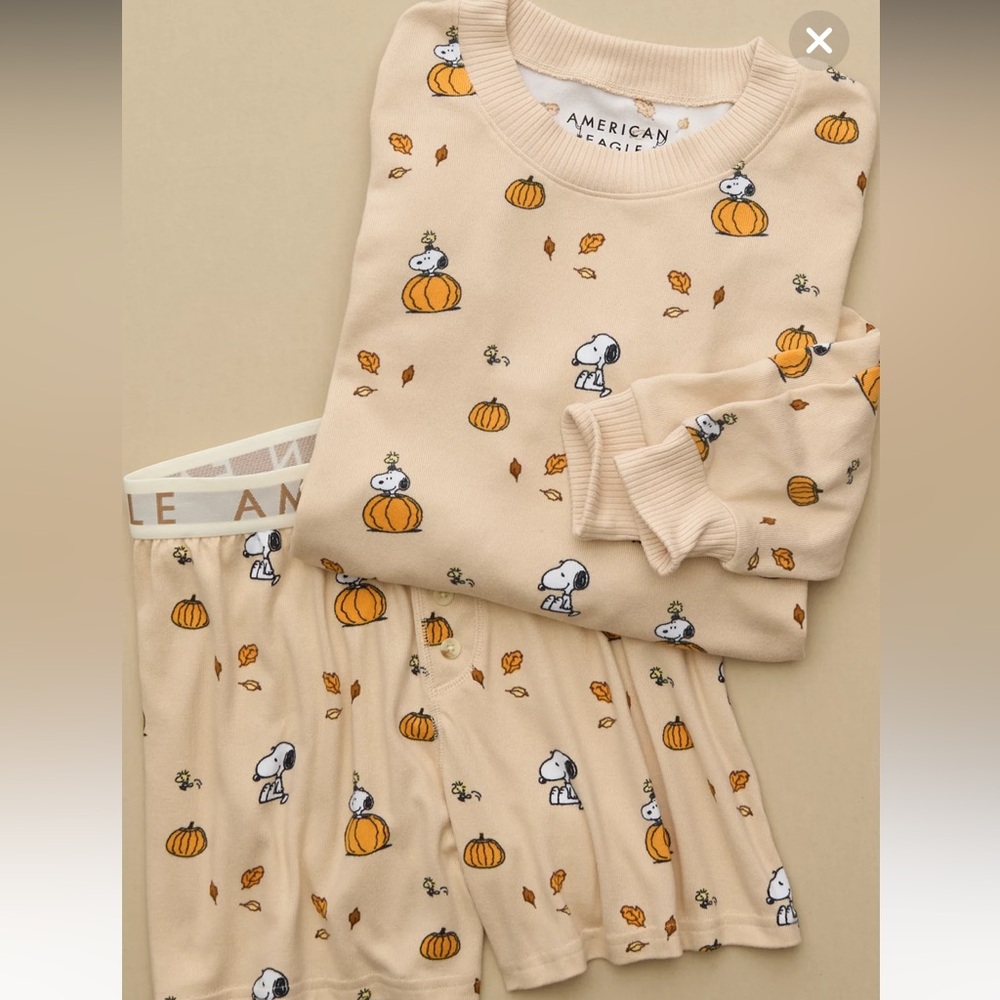 American Eagle Peanuts Snoopy Fall Halloween Pumpkin Plush Pajama Set - Small